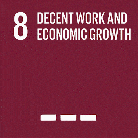 Decent Work and Economic Growth
